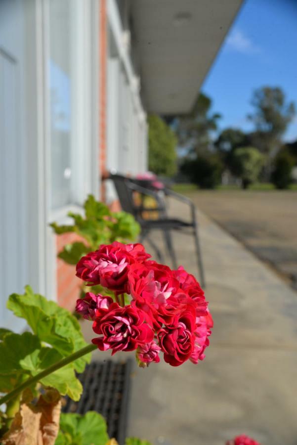 Ship Inn Motel Yarram Dış mekan fotoğraf